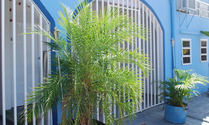 Cangrejo Arriba House | Amazing solution for 10 people - two separate apt - close to arpt and beaches