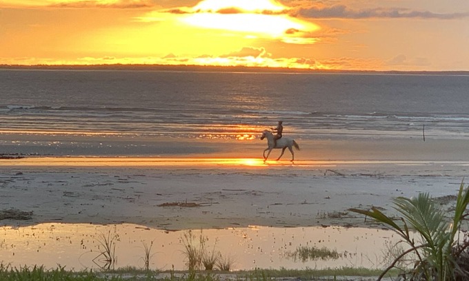 Maracana House | Amazon Flowmove retreat centre in Algodoal