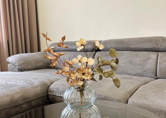 Telsiai Apartment | Amot apartamentai