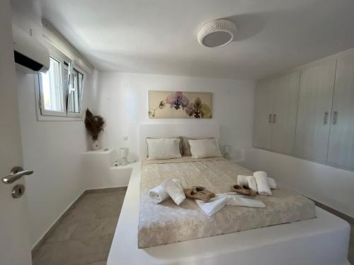 Paros House | Ampelas View