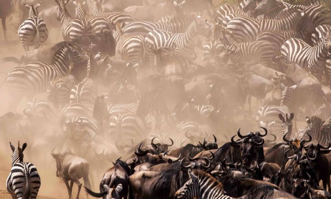 Narok Cottage | An affordable way to visit Masai Mara, stay in our cottage and enjoy.