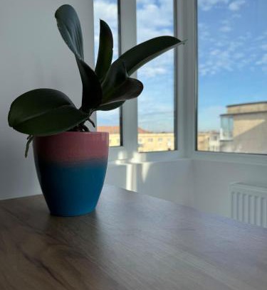 Victoria Apartment | Ana's Loft