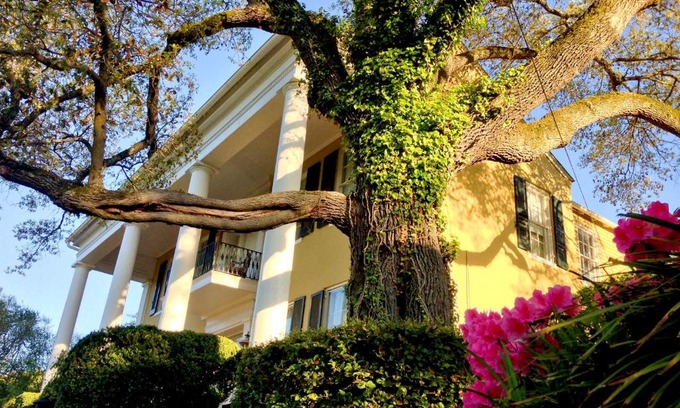 Vicksburg Bed & Breakfast | Anchuca Historic Mansion & Inn