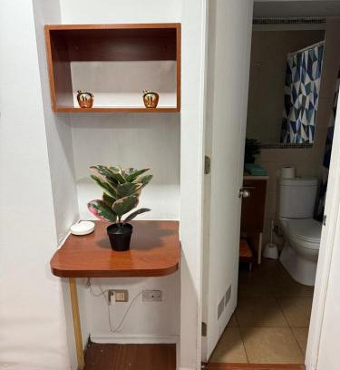 Downtown Santiago Apartment | Andina suite 7