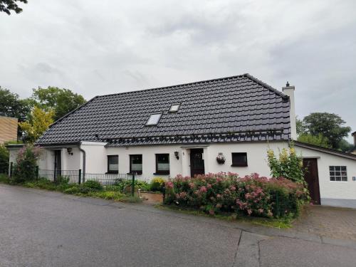 Handewitt Apartment | Andresen - Ferienwohnung mit Gartenlaube