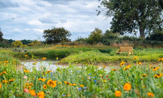 Arnold Cottage | Andrus - Mayflower Meadow