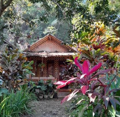 Katukaras House | anik homestay & dormy Batukaras