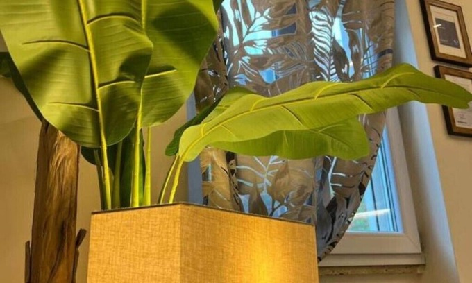Mentana Apartment | Anita House
