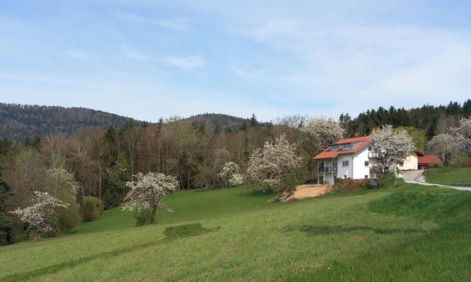Lalling Apartment | Ankommen, Entspannen & Genießen - Gemütliches Apartment mit Traumhaftem Ausblick