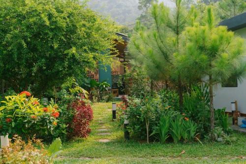 Soc Son Cabin | Anna Little Garden - Homestay Sóc Sơn - Thong House