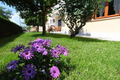 Cavtat Apartment | Antares Apartments