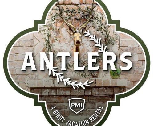 North San Antonio - SAT House | Antlers - A Birdy Vacation Rental