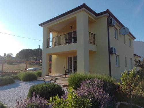 Musalez Apartment | Antonio Solimar Apartments