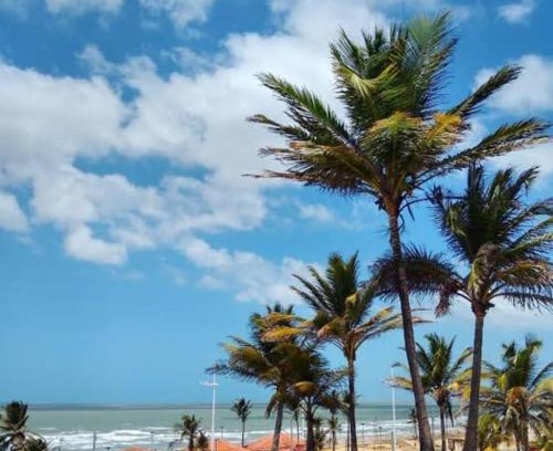 Northeast Region Apartment | Apê Aconchego Calhau - 3 Minutos de Carro da Praia