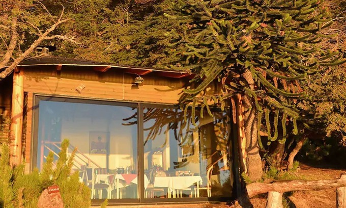 Moquehue Apartment | Apart Hotel La Busqueda