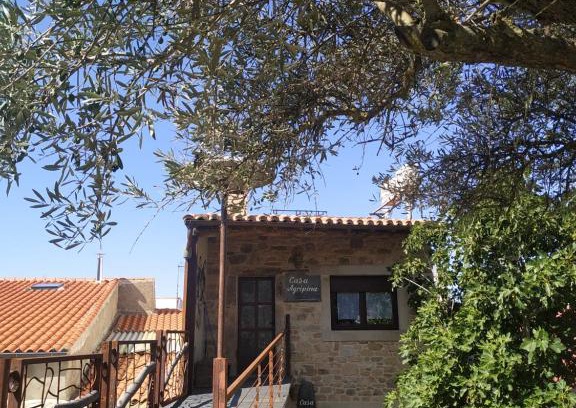 Aldeadavila de la Ribera House | Apartamento La Agripina