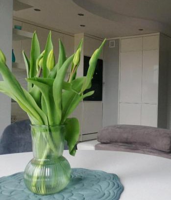 Olsztynek Apartment | Apartament 35