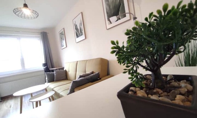 Rybnik Apartment | Apartament Casablanca - Rybnik.