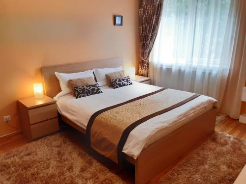 Piatra Neamt Apartment | Apartament Central