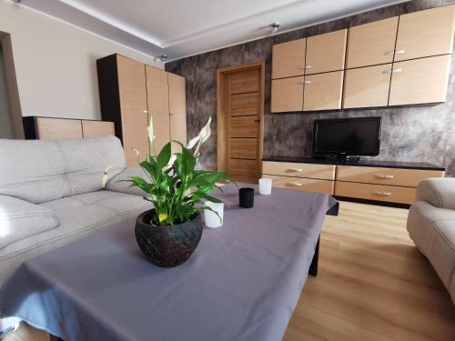Cieplice Apartment | Apartament Cieplicki