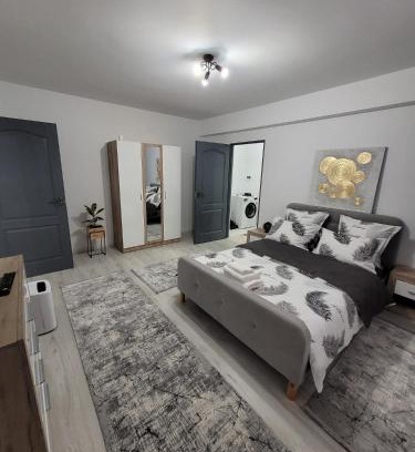 Zalau Apartment | Apartament cu 1 camera -ANA