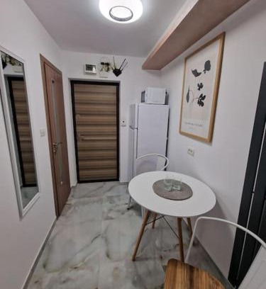 Resita Apartment | Apartament cu o camera