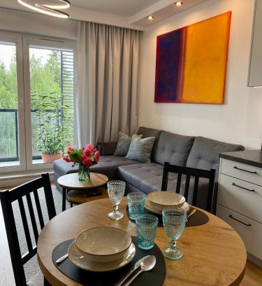 Gorzow Wielkopolski Apartment | Apartament Dekerta garaż, duży taras, smart tv