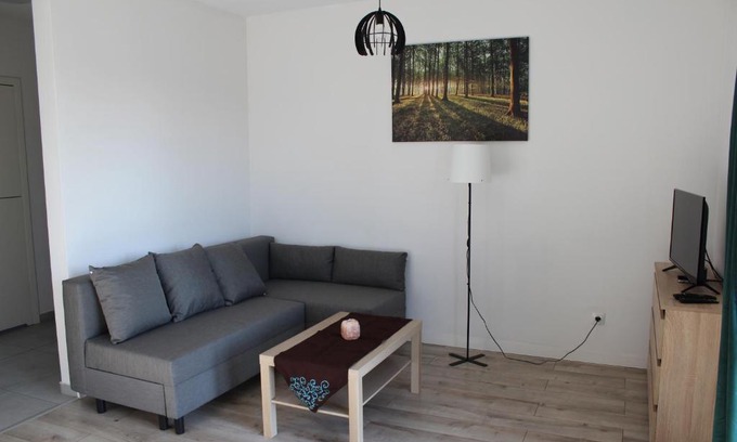 Rybnik Apartment | Apartament Fibra Freddo