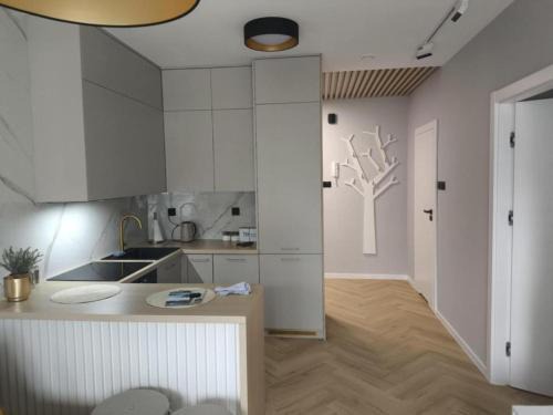 Przemysl Apartment | Apartament Haven