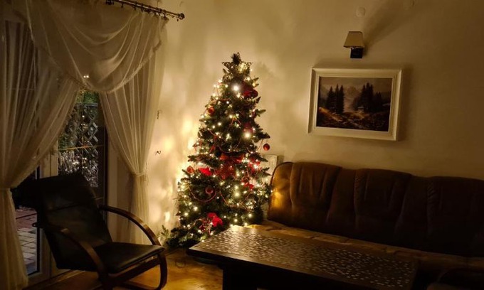 Radymno Villa | Apartament Kazimierza Wielkiego