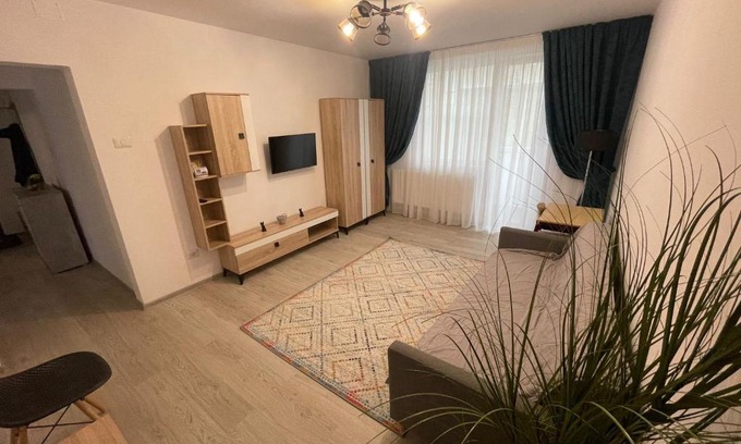 Roman Apartment | Apartament la Nicole ultracentral Bld Roman bloc 39