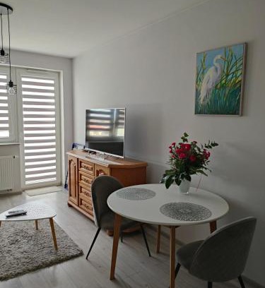 Gorzow Wielkopolski Apartment | Apartament Londyńska 9a
