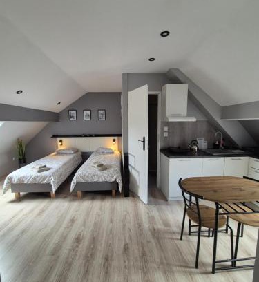Klodzko Miasto Apartment | Apartament na poddaszu