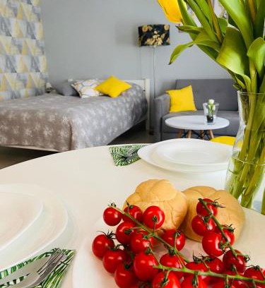 Pszczyna Apartment | Apartament na Starówce III