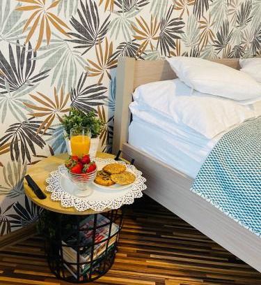 Pszczyna Apartment | Apartament na Starówce VI