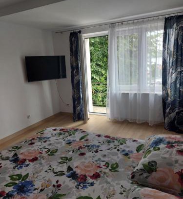 Ostrzyce Apartment | Apartament