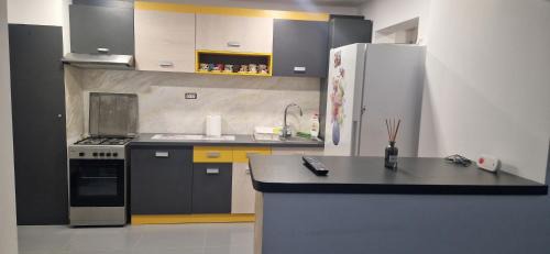 Roman Apartment | Apartament Roman
