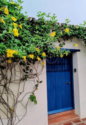 Santa Cruz de Mompox Apartment | Apartamento Colonial Puerta Azul