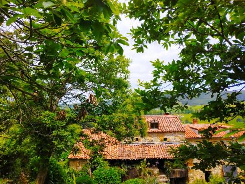 Riotuerto Apartment | Apartamento en Plena Naturaleza