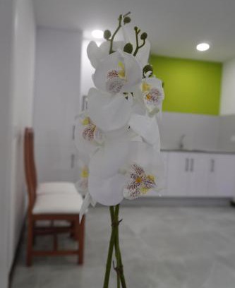 Lumbrales Apartment | Apartamento Sanin 3