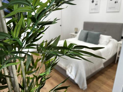 San Bernardo Apartment | Apartamentos Alimarc Urban