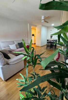 Iscar Apartment | Apartamentos Suites Iscar