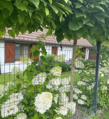 Sierakow Apartment | Apartamenty Buczyna w Sierakowie
