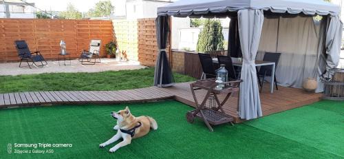 Orlowo Apartment | Apartamenty Nadmorskie Fiesta