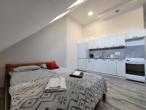 Kwidzyn Apartment | Apartamenty Parkowe nr 8