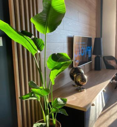 Uniejow Apartment | Apartamenty Termalne GREEN Apartment