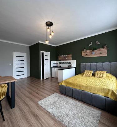 Poddebice Apartment | Apartamenty w Kamienicy