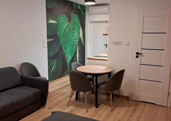 Ciechocinek Apartment | Apartamenty Zielony Liść