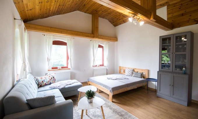 Kovacova House | Apartmán Albert v Spa dedinke