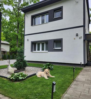 Sastin Apartment | Apartmán Kocka na prízemí
